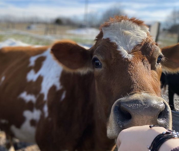 15th January 2020 Clementine (Boop)