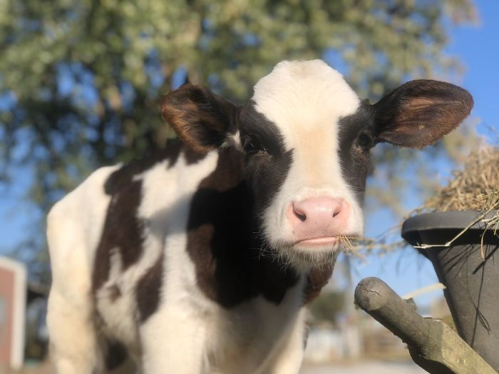 16th January 2020 Fleetwood