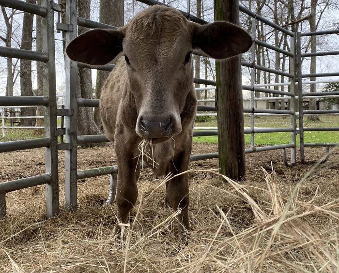 18th January 2020 June