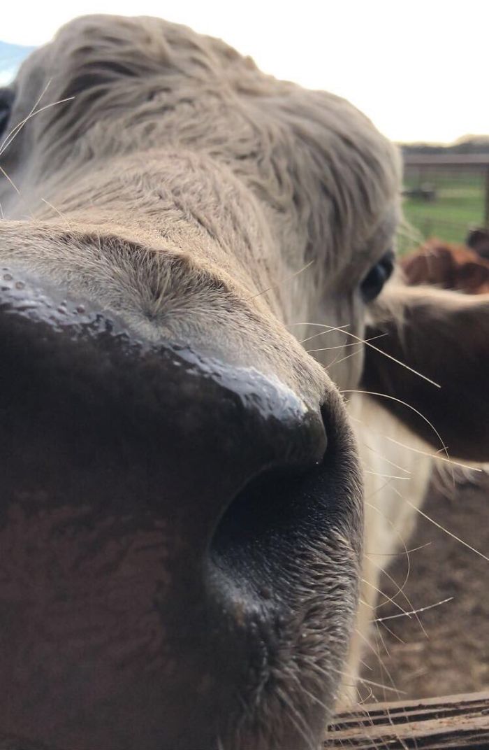 27th January 2020 Melvin