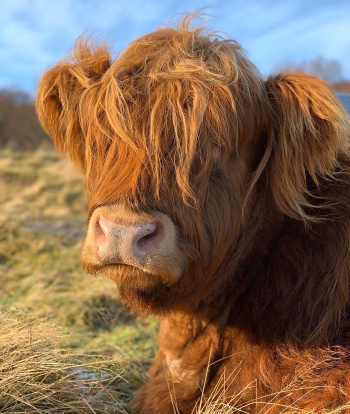 30th January 2020 Baby