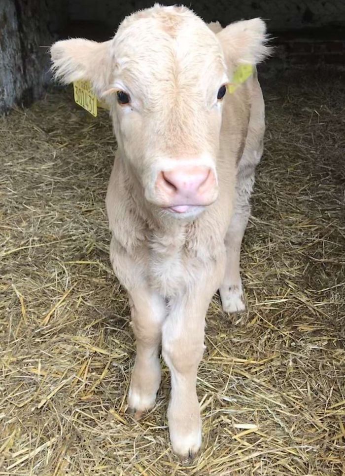 2nd February 2020 Jason