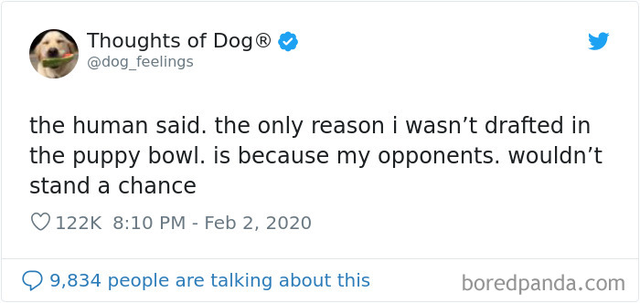 Dog Thoughts