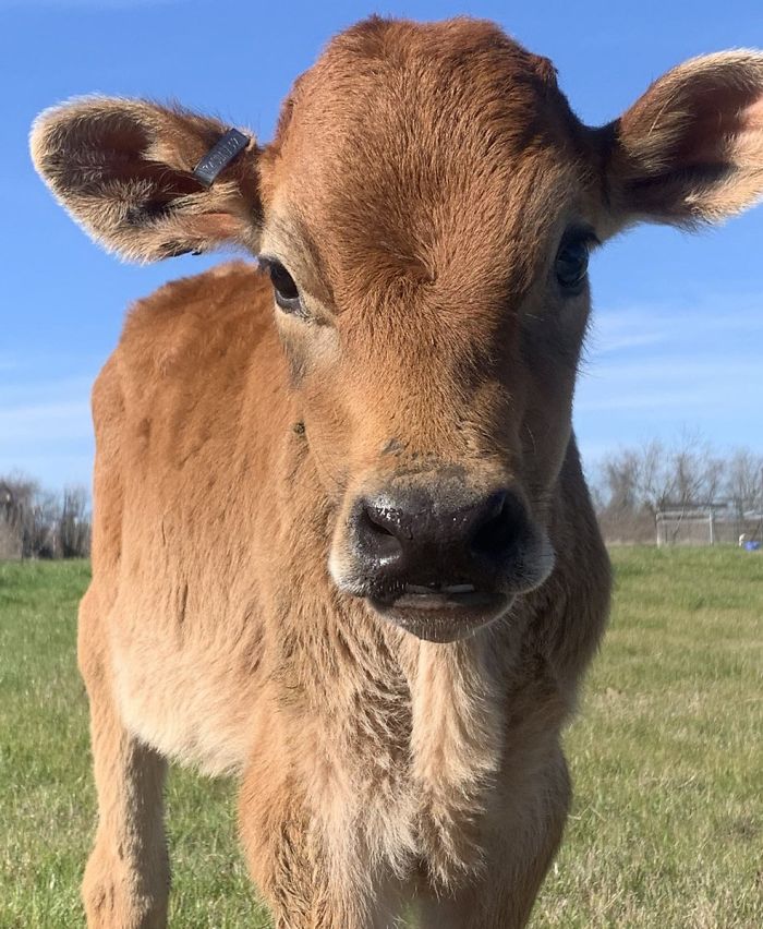 5th February 2020 Baby