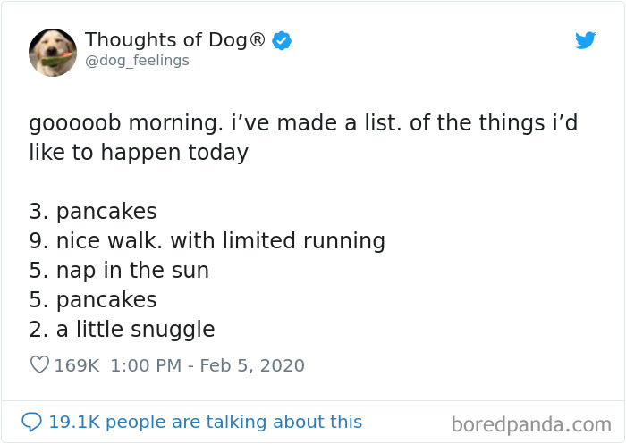 Dog Thoughts