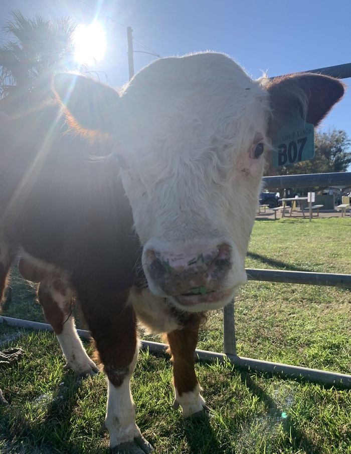 6th February 2020 Colin