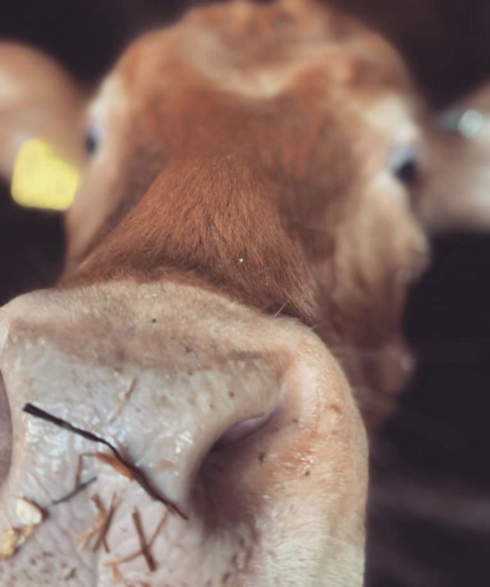 12th February 2020 One ‘Boop’ Is Never Enough