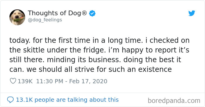 Dog Thoughts