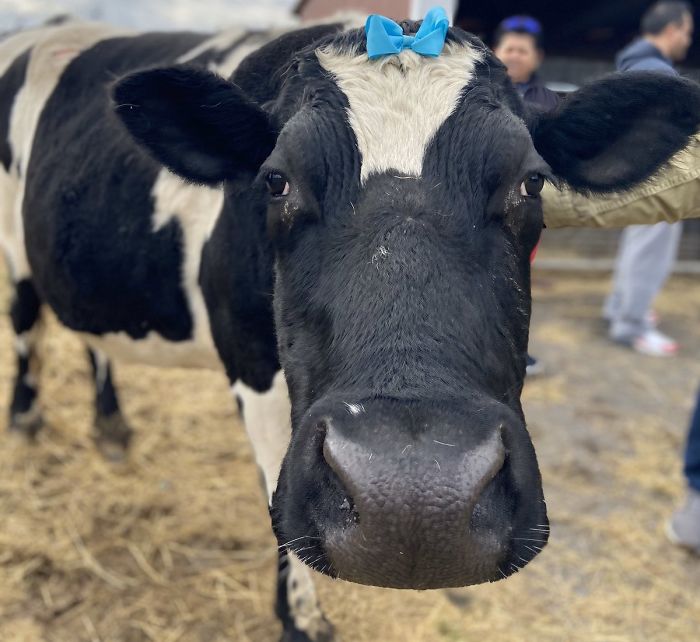 18th February 2020 Marybell