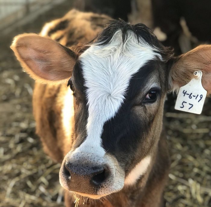 19th February 2020 Dudley