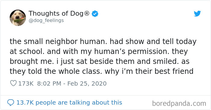 Dog Thoughts