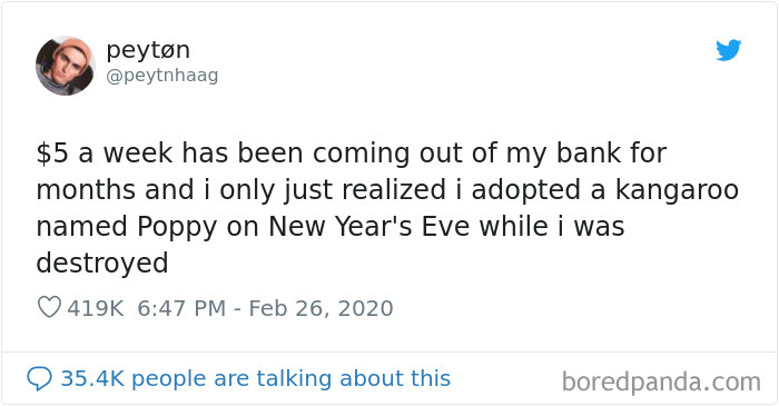 Man Gets Drunk On New Year's Eve And Adopts A Baby Kangaroo, Realizes It Months Later Man Gets Drunk On New Year's Eve And Adopts A Baby Kangaroo, Realizes It Months Later