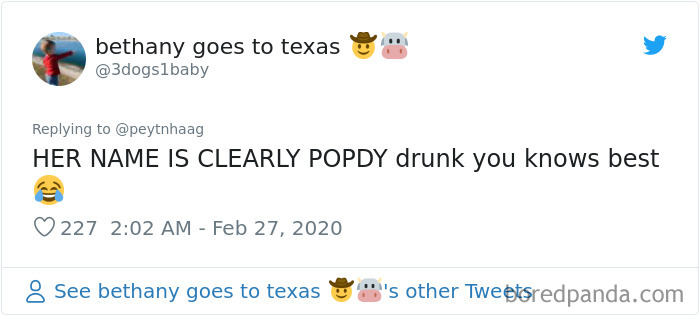 Man Gets Drunk On New Year's Eve And Adopts A Baby Kangaroo, Realizes It Months Later Man Gets Drunk On New Year's Eve And Adopts A Baby Kangaroo, Realizes It Months Later