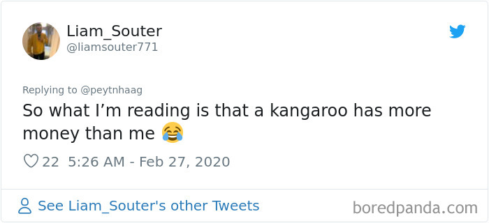 Man Gets Drunk On New Year's Eve And Adopts A Baby Kangaroo, Realizes It Months Later Man Gets Drunk On New Year's Eve And Adopts A Baby Kangaroo, Realizes It Months Later