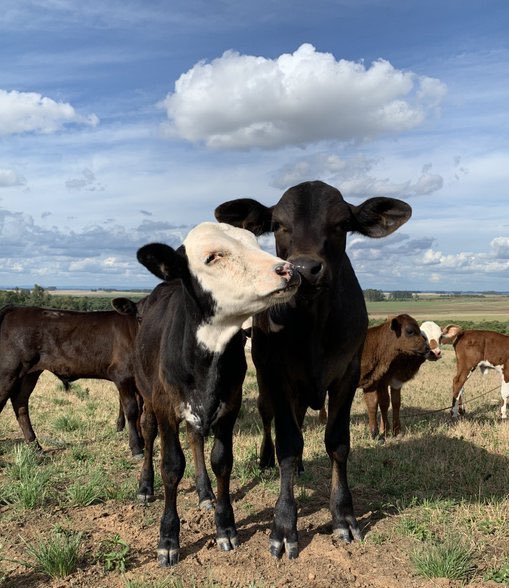 28th February 2020 Katie And Fred