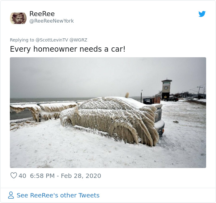 People's Homes Near Lake Erie Get Covered In Thick Ice, They Say It Looks Cool But It's A Nightmare To Live In People's Homes Near Lake Erie Get Covered In Thick Ice, They Say It Looks Cool But It's A Nightmare To Live In
