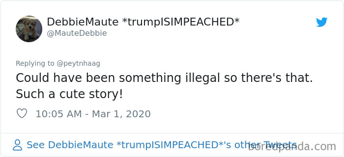 Man Gets Drunk On New Year's Eve And Adopts A Baby Kangaroo, Realizes It Months Later Man Gets Drunk On New Year's Eve And Adopts A Baby Kangaroo, Realizes It Months Later