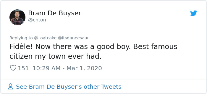 After 'The Most Photographed Dog In Bruges' Passes Away, People Are Sharing Photos Of Him Throughout The Years