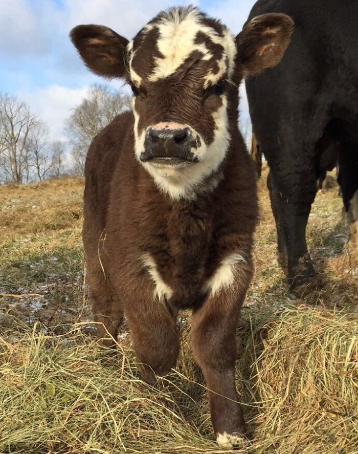 1st March 2020 Little Guy