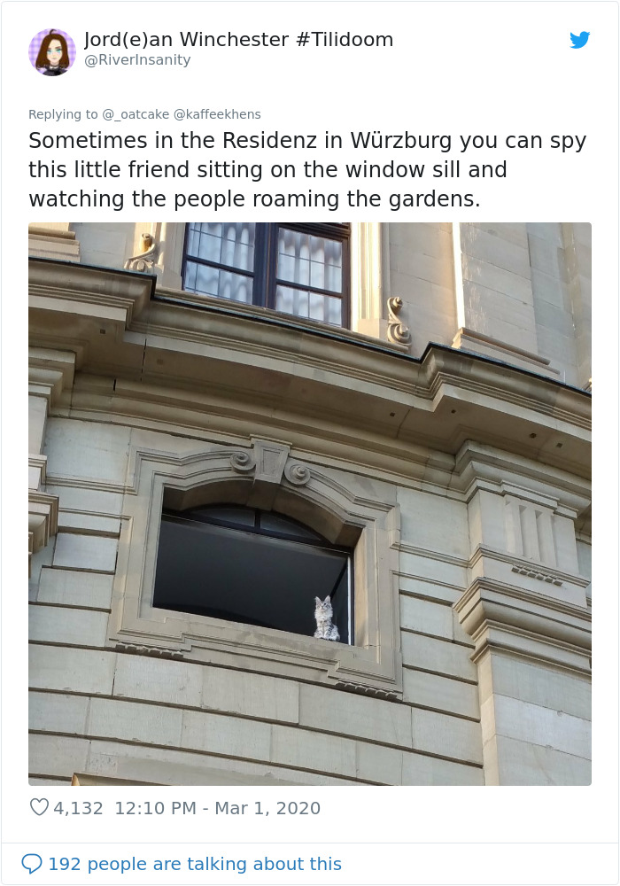 After 'The Most Photographed Dog In Bruges' Passes Away, People Are Sharing Photos Of Him Throughout The Years