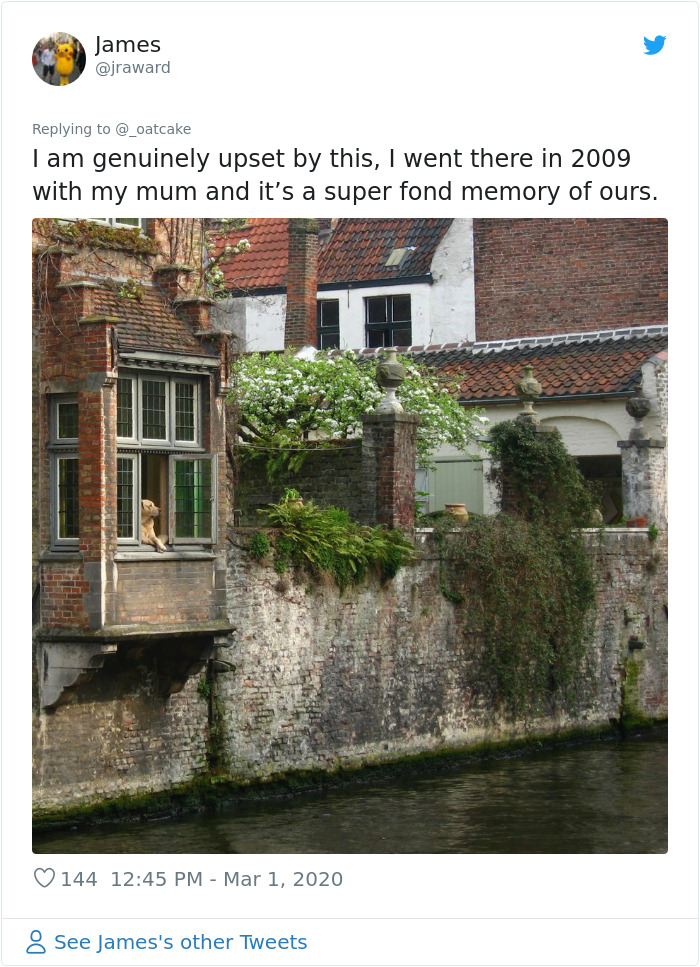 After 'The Most Photographed Dog In Bruges' Passes Away, People Are Sharing Photos Of Him Throughout The Years After 'The Most Photographed Dog In Bruges' Passes Away, People Are Sharing Photos Of Him Throughout The Years
