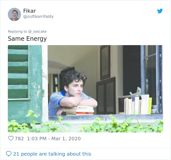 After 'The Most Photographed Dog In Bruges' Passes Away, People Are Sharing Photos Of Him Throughout The Years After 'The Most Photographed Dog In Bruges' Passes Away, People Are Sharing Photos Of Him Throughout The Years