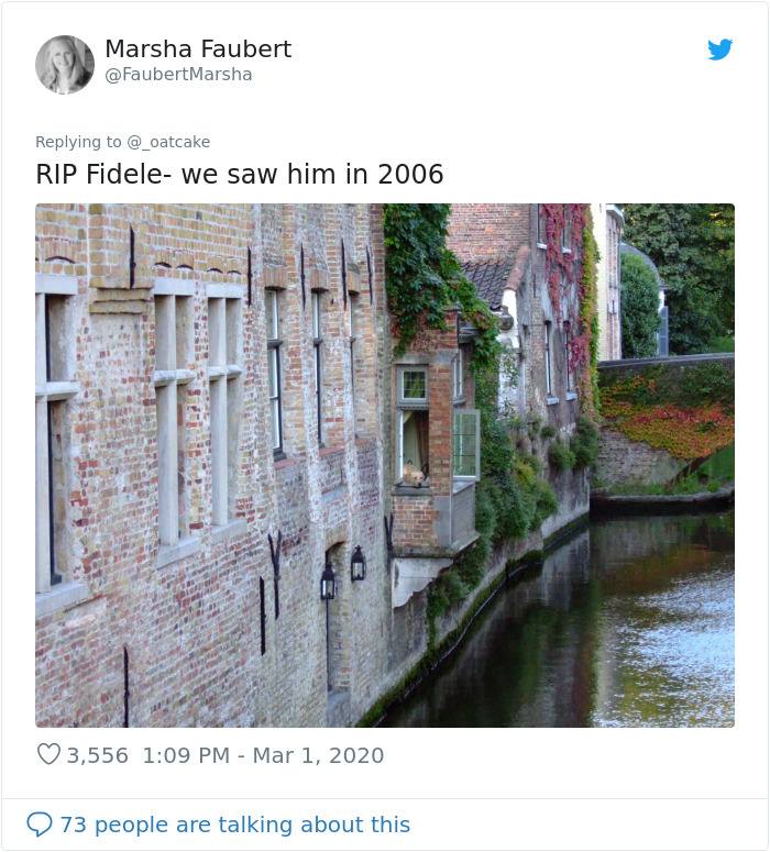 After 'The Most Photographed Dog In Bruges' Passes Away, People Are Sharing Photos Of Him Throughout The Years