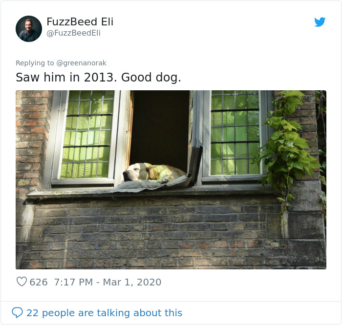 After 'The Most Photographed Dog In Bruges' Passes Away, People Are Sharing Photos Of Him Throughout The Years After 'The Most Photographed Dog In Bruges' Passes Away, People Are Sharing Photos Of Him Throughout The Years