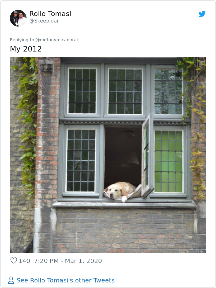 After 'The Most Photographed Dog In Bruges' Passes Away, People Are Sharing Photos Of Him Throughout The Years