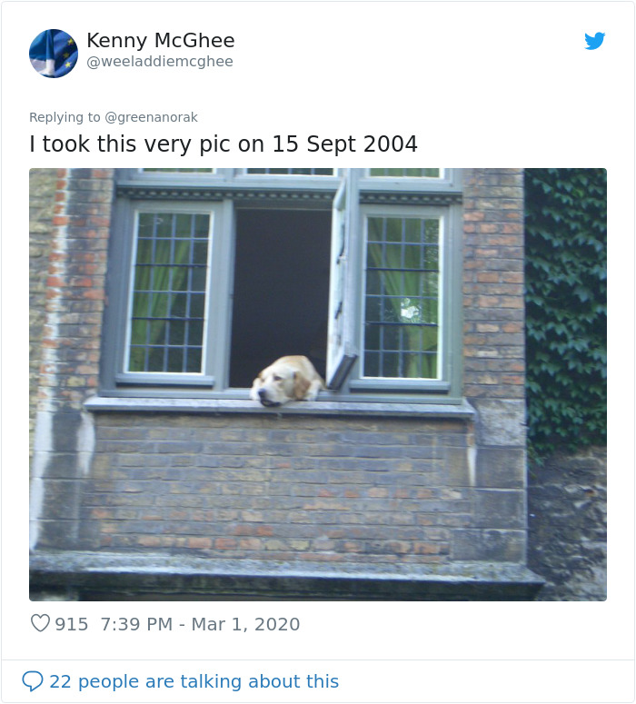 After 'The Most Photographed Dog In Bruges' Passes Away, People Are Sharing Photos Of Him Throughout The Years After 'The Most Photographed Dog In Bruges' Passes Away, People Are Sharing Photos Of Him Throughout The Years