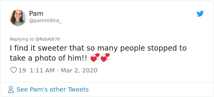 After 'The Most Photographed Dog In Bruges' Passes Away, People Are Sharing Photos Of Him Throughout The Years