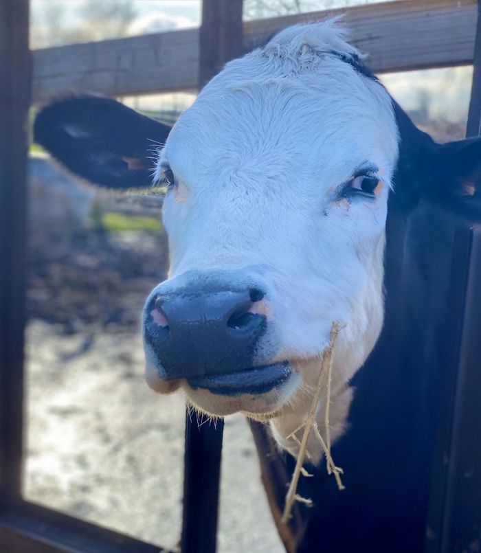 2nd March 2020 Rosie