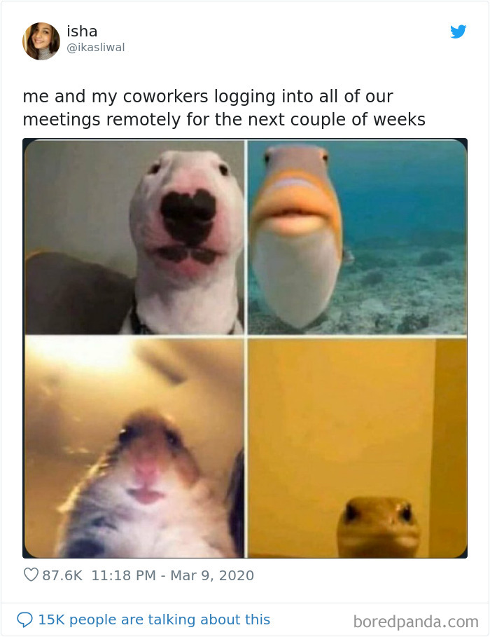 Quarantine-Coronavirus-Jokes-Memes