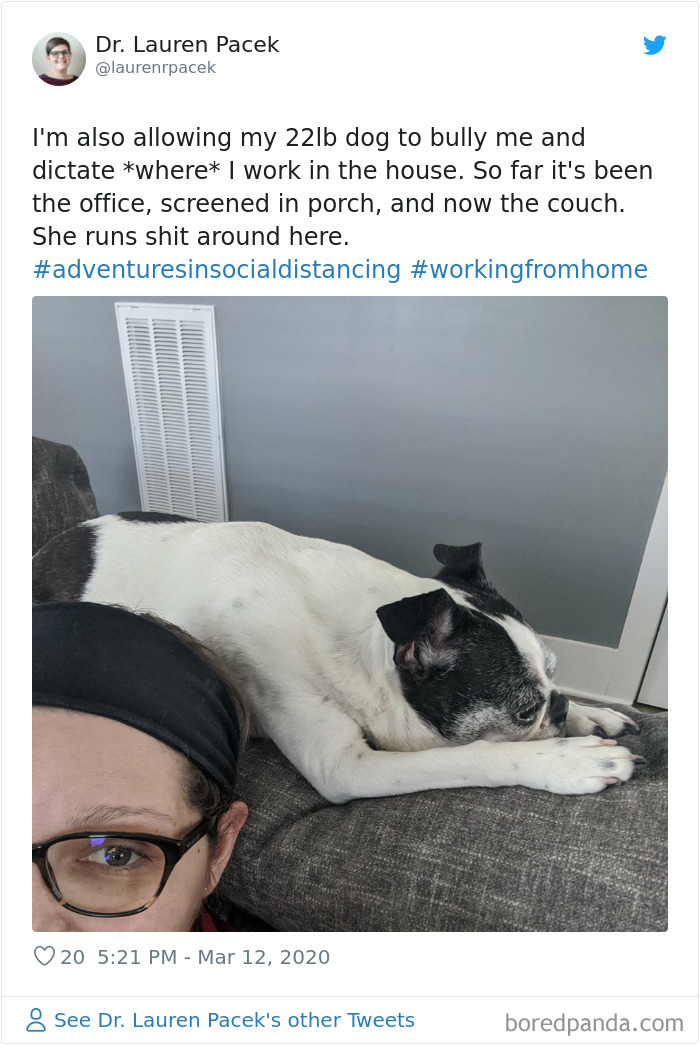 Pet-Coworkers-Quarantine