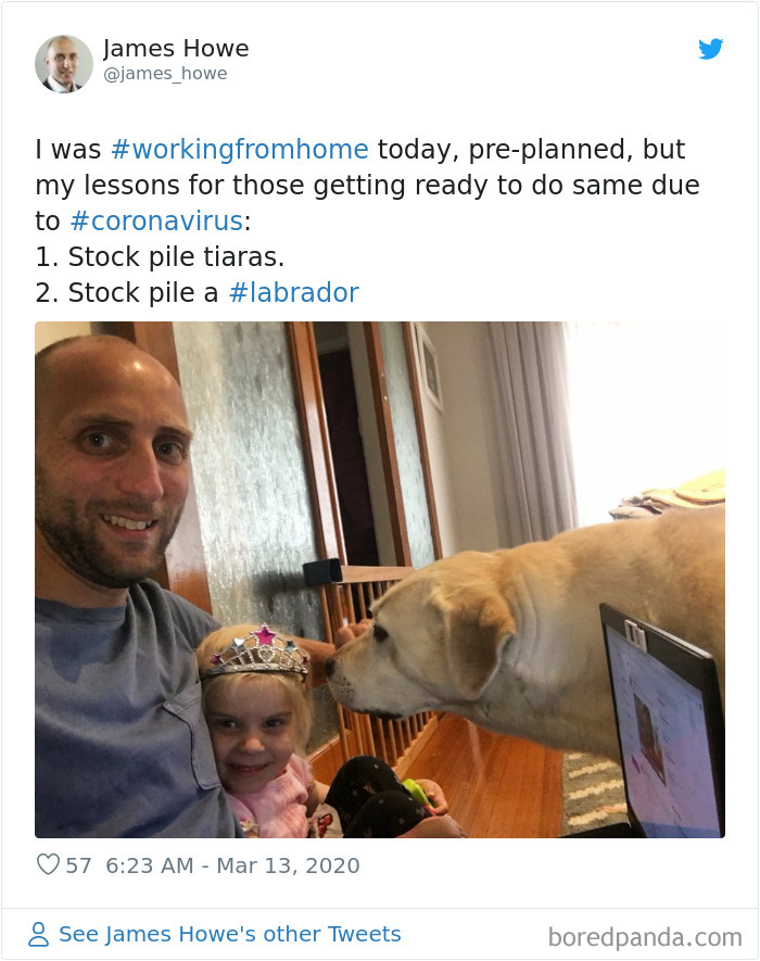 Pet-Coworkers-Quarantine