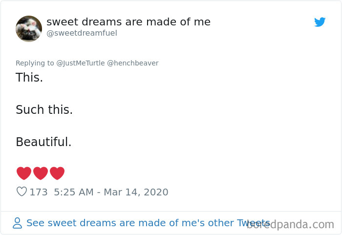 Garbageman Takes To Twitter To Reassure People Amidst The Coronavirus Crisis And His Message Is Heartwarming