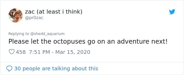 After Closing Down, This Aquarium Lets Its Penguins Go On A 'Field Trip' After Closing Down, This Aquarium Lets Its Penguins Go On A 'Field Trip'