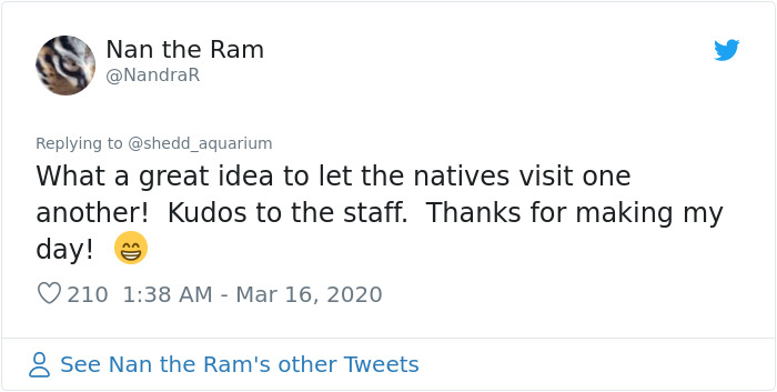 After Closing Down, This Aquarium Lets Its Penguins Go On A 'Field Trip' After Closing Down, This Aquarium Lets Its Penguins Go On A 'Field Trip'