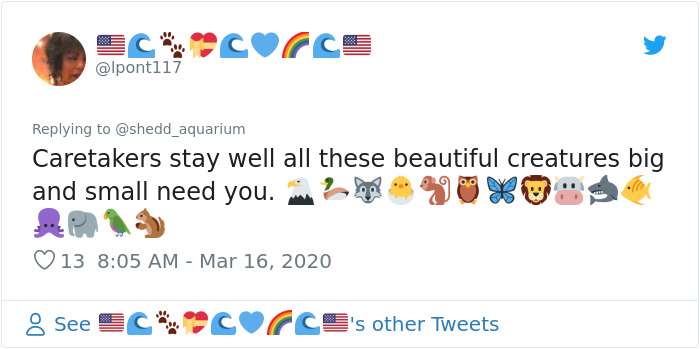 After Closing Down, This Aquarium Lets Its Penguins Go On A 'Field Trip' After Closing Down, This Aquarium Lets Its Penguins Go On A 'Field Trip'