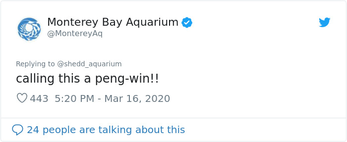 After Closing Down, This Aquarium Lets Its Penguins Go On A 'Field Trip' After Closing Down, This Aquarium Lets Its Penguins Go On A 'Field Trip'