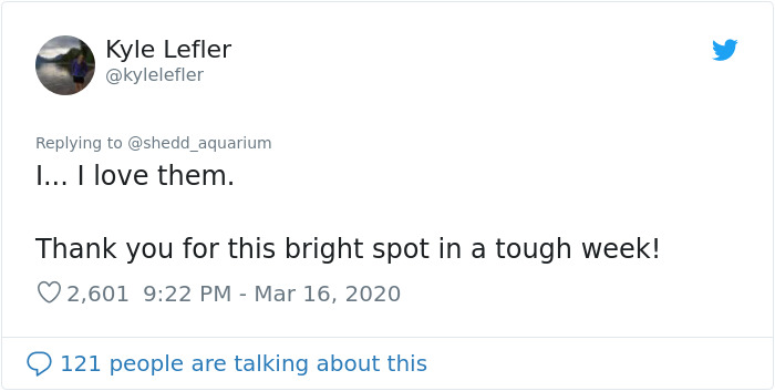 After Closing Down, This Aquarium Lets Its Penguins Go On A 'Field Trip' After Closing Down, This Aquarium Lets Its Penguins Go On A 'Field Trip'