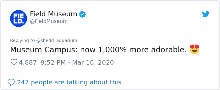 After Closing Down, This Aquarium Lets Its Penguins Go On A 'Field Trip' After Closing Down, This Aquarium Lets Its Penguins Go On A 'Field Trip'