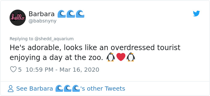 After Closing Down, This Aquarium Lets Its Penguins Go On A 'Field Trip' After Closing Down, This Aquarium Lets Its Penguins Go On A 'Field Trip'