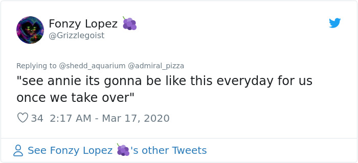 After Closing Down, This Aquarium Lets Its Penguins Go On A 'Field Trip' After Closing Down, This Aquarium Lets Its Penguins Go On A 'Field Trip'