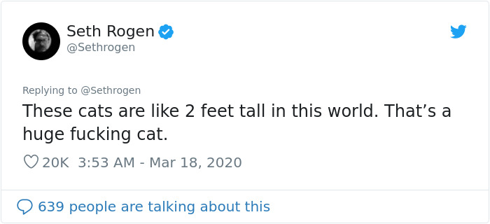 Seth Rogen Decides To Watch "Cats" While In Quarantine, Gets High, And Writes A Review