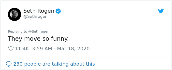 Seth Rogen Decides To Watch "Cats" While In Quarantine, Gets High, And Writes A Review