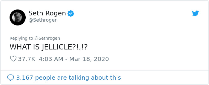 Seth Rogen Decides To Watch "Cats" While In Quarantine, Gets High, And Writes A Review