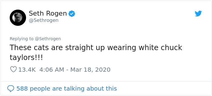 Seth Rogen Decides To Watch "Cats" While In Quarantine, Gets High, And Writes A Review