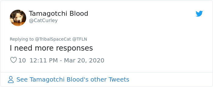 Tired Of Getting Ghosted, This Woman Made A Survey So That She Can 'Improve For The Next Candidate' Tired Of Getting Ghosted, This Woman Made A Survey So That She Can 'Improve For The Next Candidate'