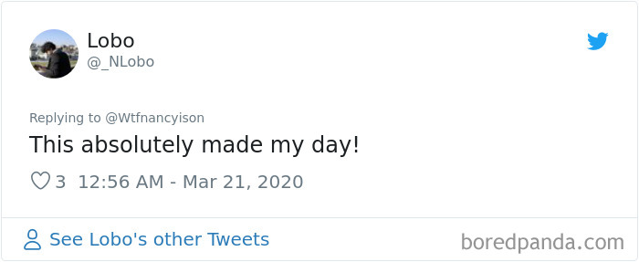 This Quarantined Guy Sends His Dog On A Mission To Buy Cheetos And He Delivers This Quarantined Guy Sends His Dog On A Mission To Buy Cheetos And He Delivers